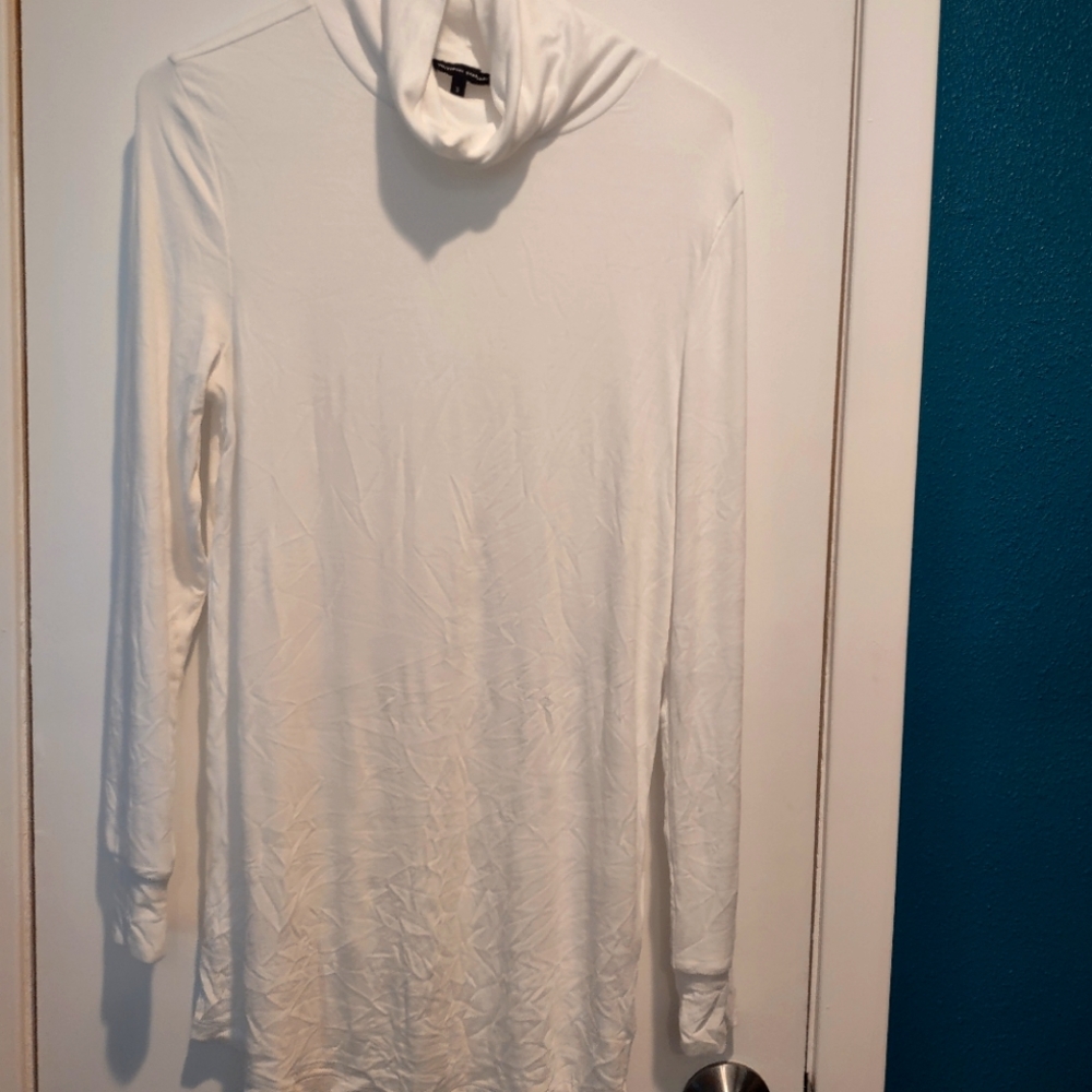 Universal Standard Foundation turtleneck top